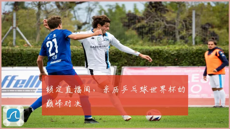 锁定直播间，亲历乒乓球世界杯的巅峰对决