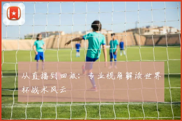 从直播到回放:专业视角解读世界杯战术风云