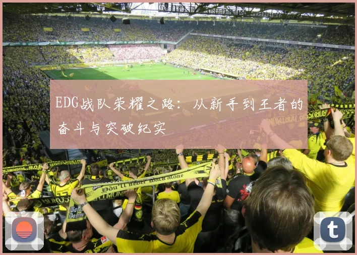 EDG战队荣耀之路：从新手到王者的奋斗与突破纪实