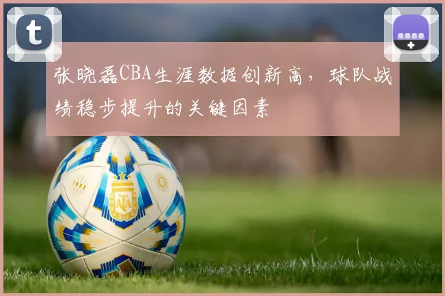 张晓磊CBA生涯数据创新高，球队战绩稳步提升的关键因素