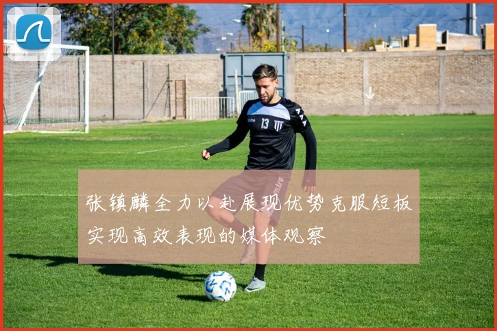 张镇麟全力以赴展现优势克服短板实现高效表现的媒体观察