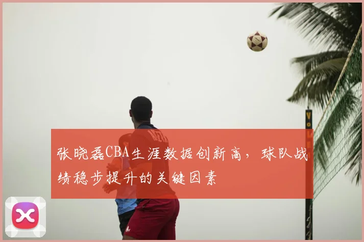张晓磊CBA生涯数据创新高,球队战绩稳步提升的关键因素