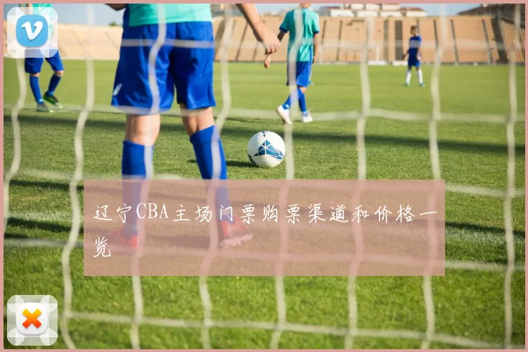 辽宁CBA主场门票购票渠道和价格一览