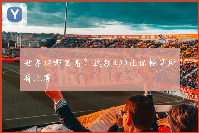 世界杯哪里看？这款app让你畅享所有比赛