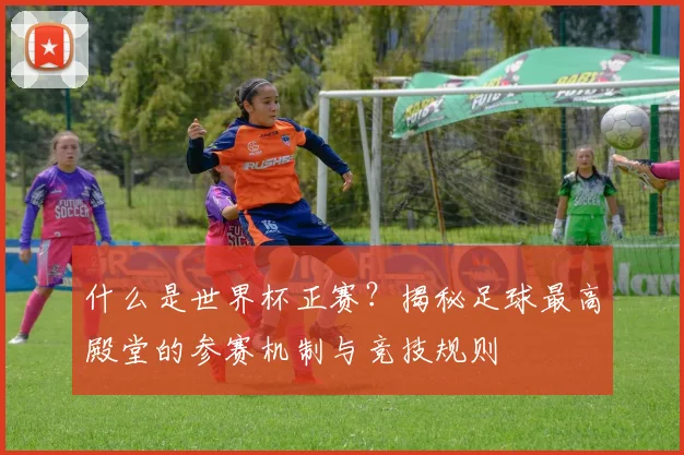 什么是世界杯正赛?揭秘足球最高殿堂的参赛机制与竞技规则