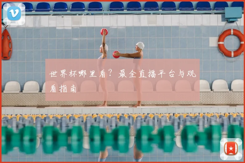 世界杯哪里看？最全直播平台与观看指南