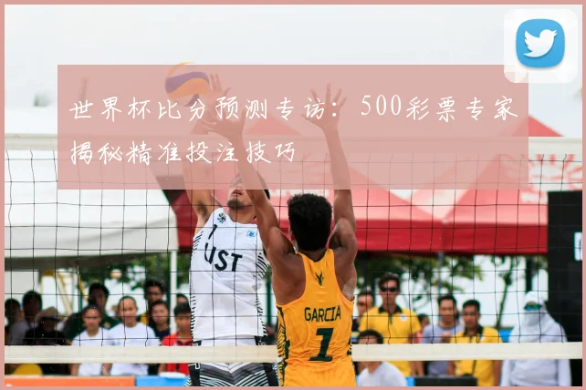 世界杯比分预测专访：500彩票专家揭秘精准投注技巧