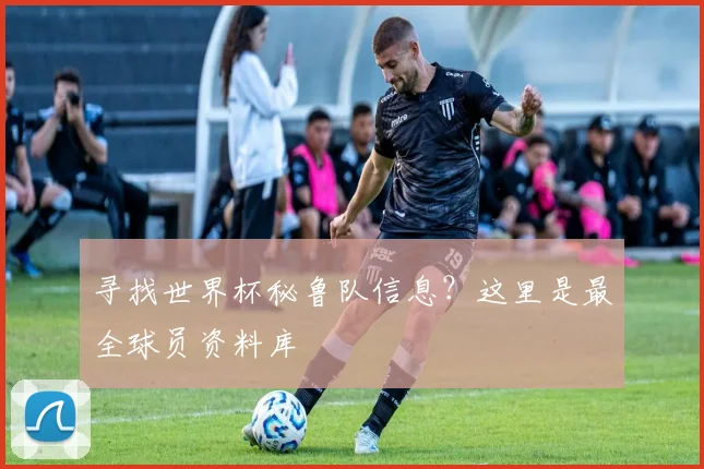 寻找世界杯秘鲁队信息？这里是最全球员资料库