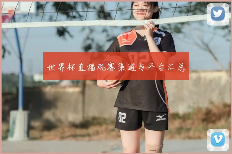 世界杯直播观赛渠道与平台汇总