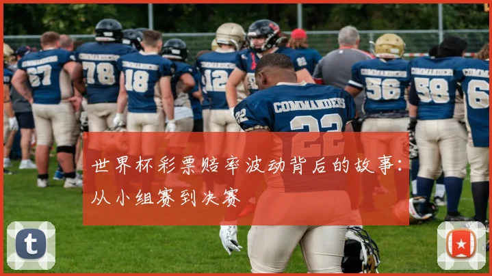 世界杯彩票赔率波动背后的故事：从小组赛到决赛