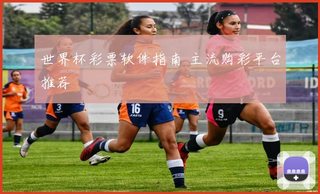世界杯彩票软件指南 主流购彩平台推荐