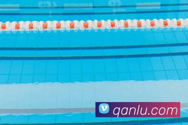 亚搏平台生态图